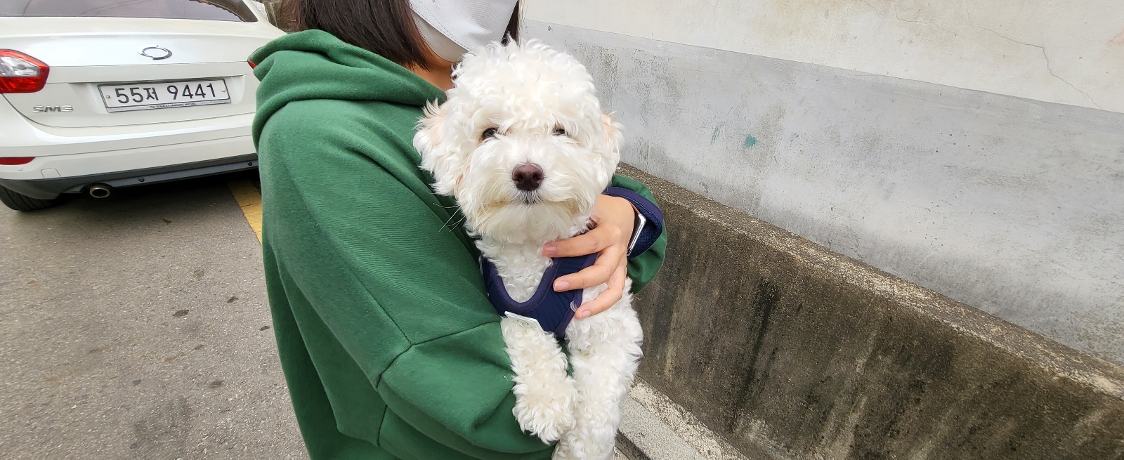 둔촌동물병원_411324202300191